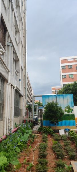 深圳醫院項案例